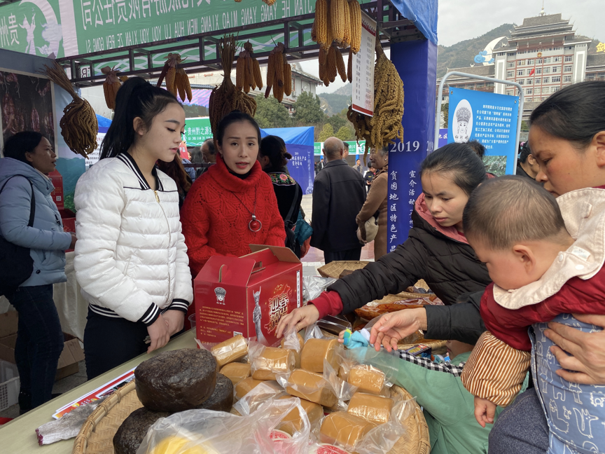 1576830991767662.png image.png