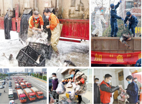 1584445520907191.png image.png