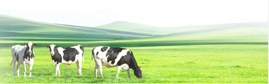 1589805210696098.png image.png