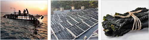 1605086811405415.png 图片1.png