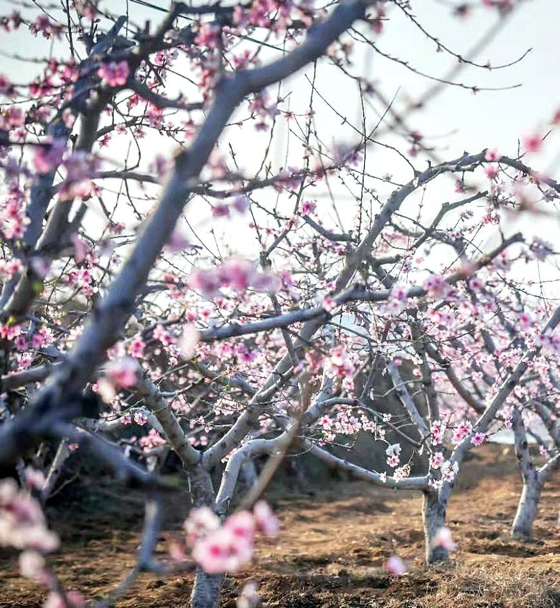 1609204980413159.png image.png