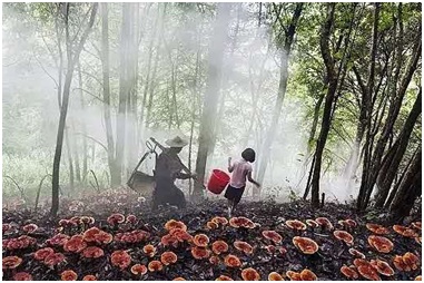 reg23123.jpg reg23123.jpg