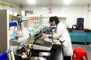 1600729860334731.png image.png