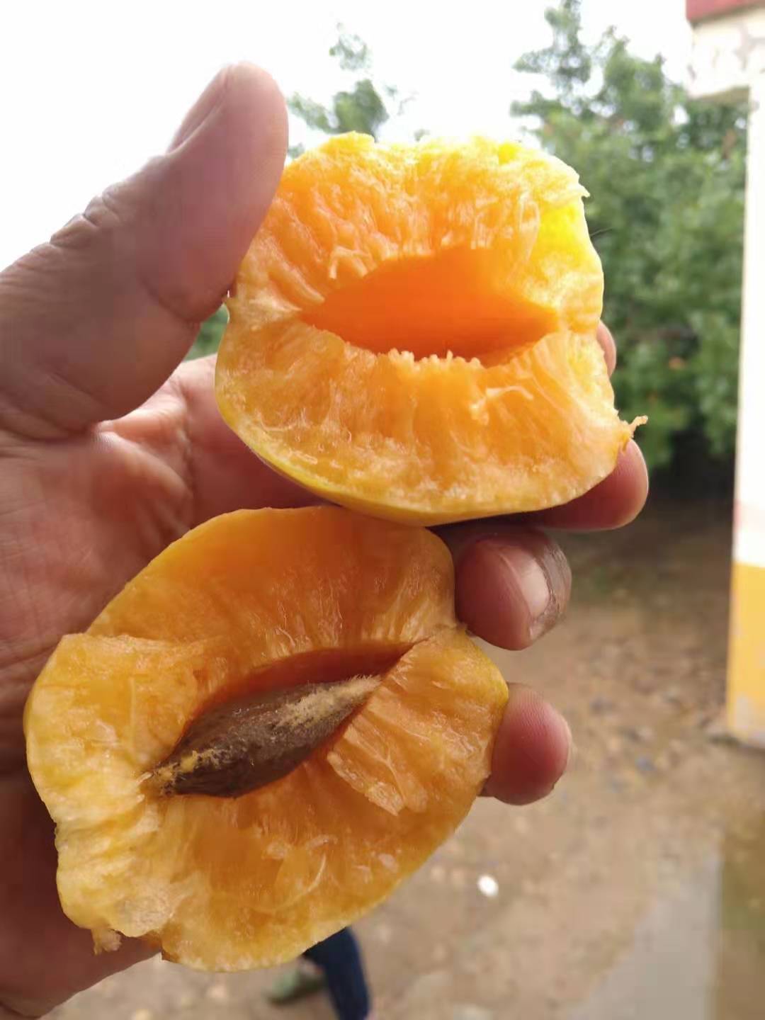 微信图片_20210628091046.jpg 微信图片_20210628091046.jpg