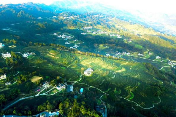 4291644764910_.pic_hd