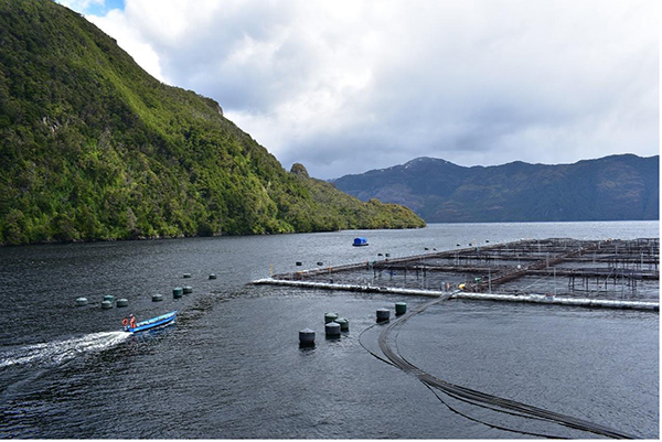 2图片 1.jpg 2图片 1.jpg