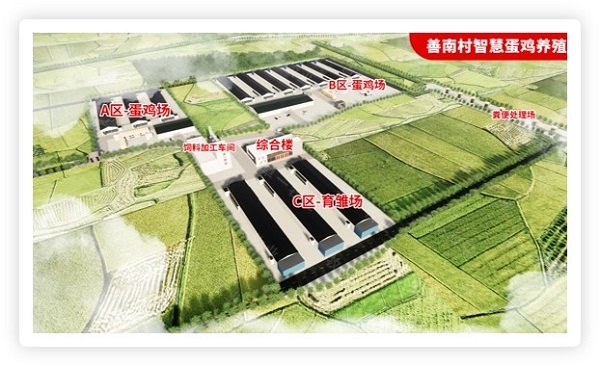 1703472637578507.jpg 图片4.jpg