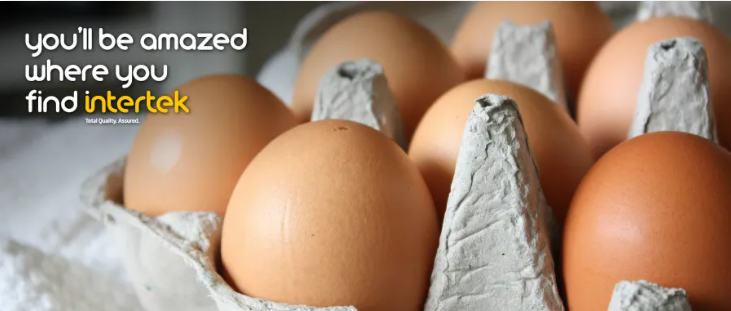 1726735714696746.png 2.png