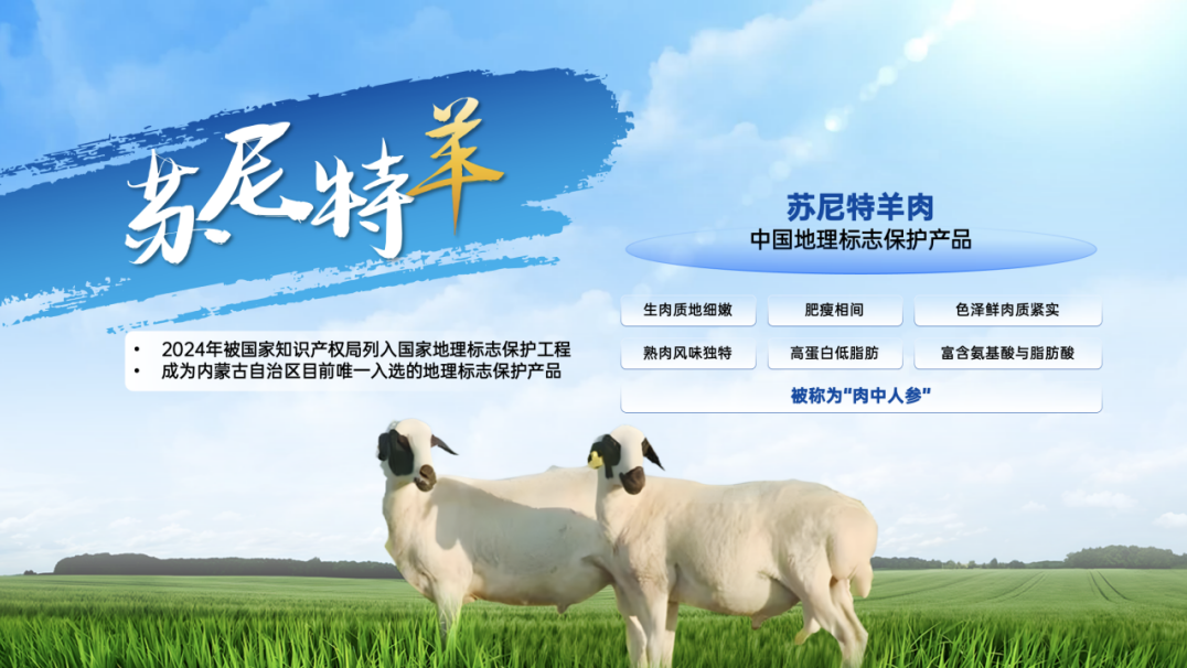 1761729501872023.png image.png