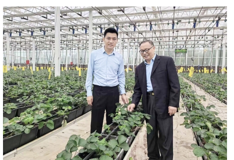 江西安义：科技为笔产业为墨 红色热土书写振兴新篇